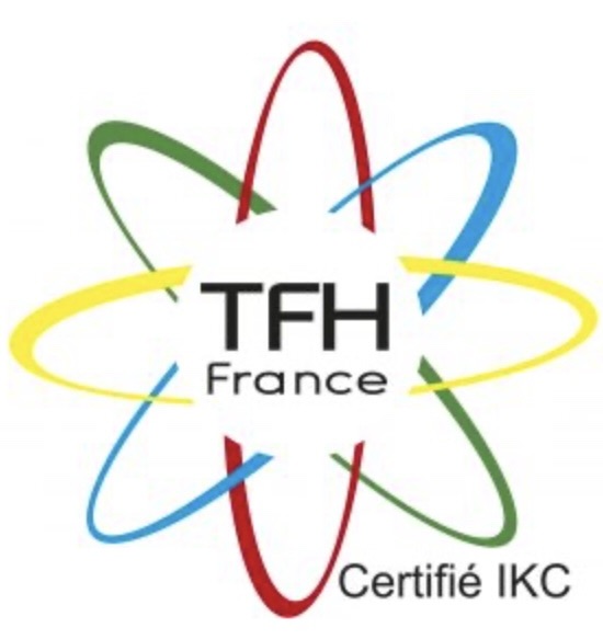 Logo kinésiology la santé par le toucher