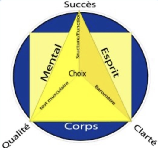 Logo Kinesiology three in on concepts